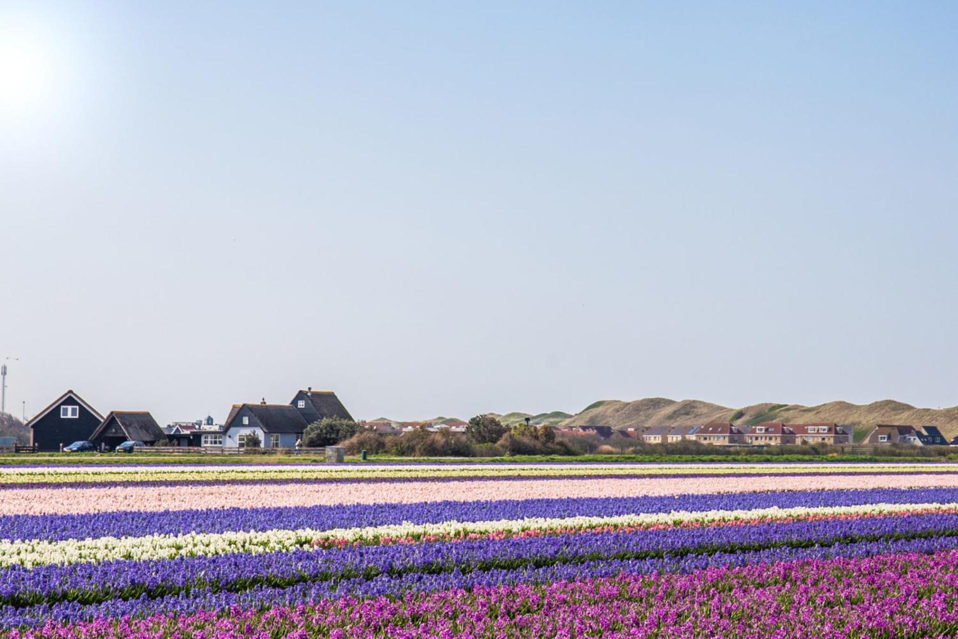De Duintuin - In De Duinen, Groote Keeten Aan Zee Callantsoog Extérieur photo